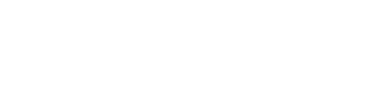 Logo cantina Leonardo Da Vinci - vini ispirati dal genio