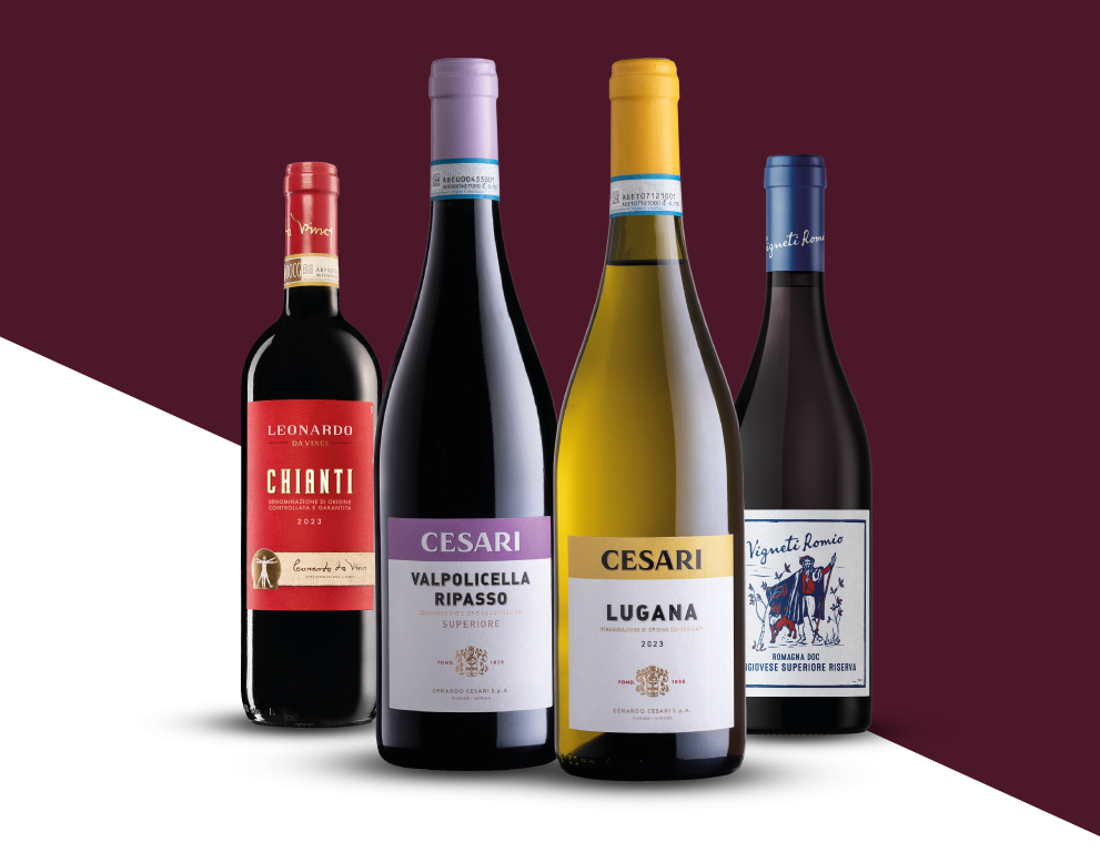 Bottiglie di Chianti cantina Leonardo Da Vinci, Valpolicella Ripasso cantina Cesari, Lugana cantina Cesari, Sangiovese Superiore Riserva cantina Vigneti Romio